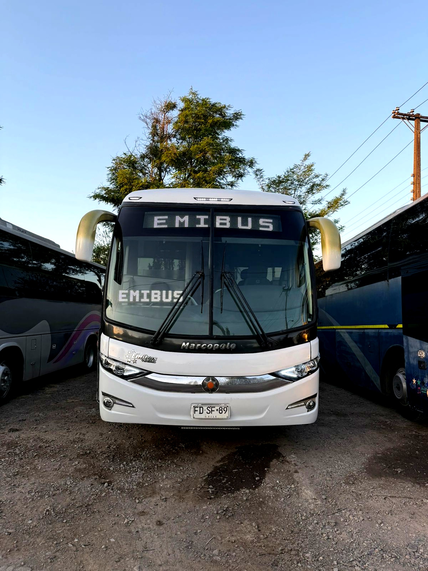 Bus EmiBus 42 - Flota moderna y confortable