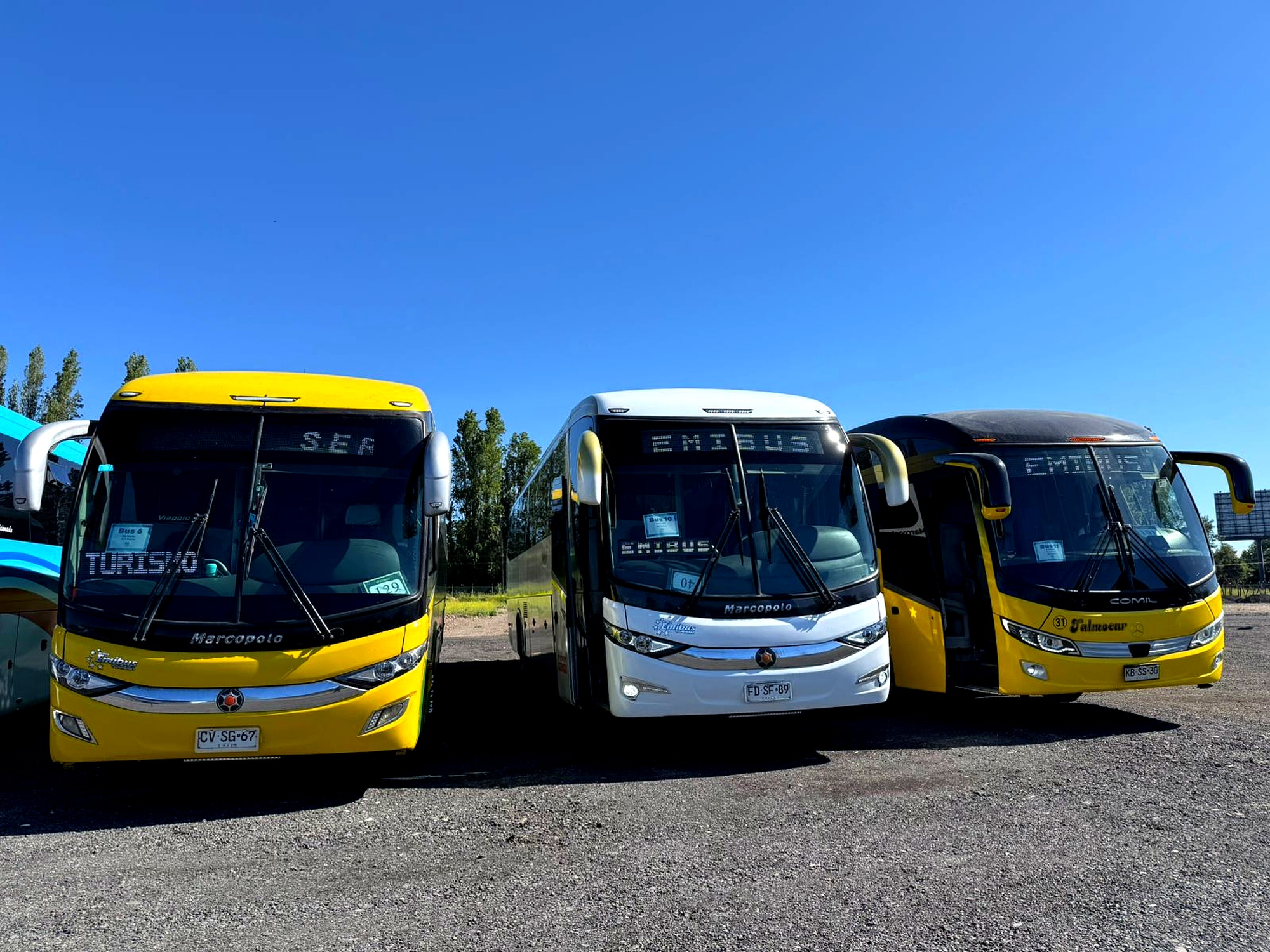 Bus EmiBus 43 - Flota moderna y confortable